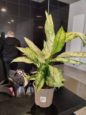 IMG_20260507_161532[1].jpg